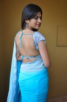 Shraddha Das Hot Saree Stills